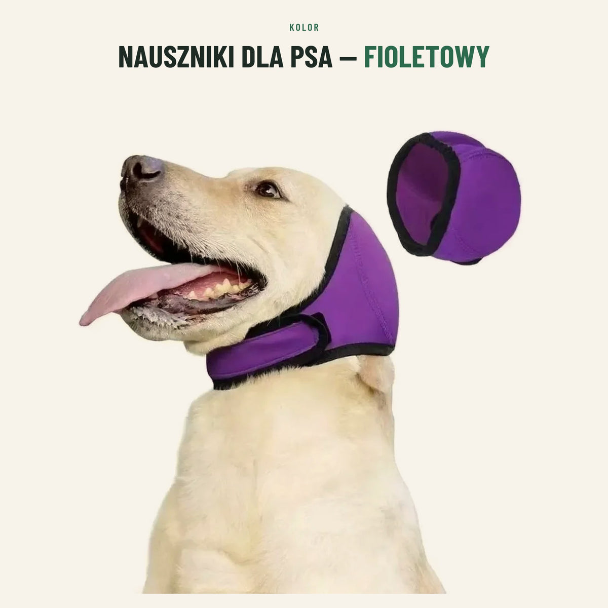 Nauszniki dla psa — kolor fioletowy