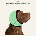 Jasnozielony