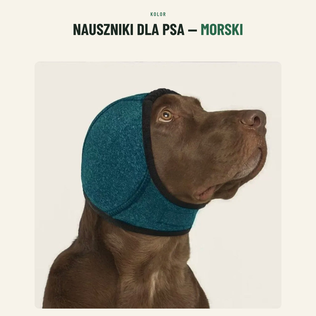 Nauszniki dla psa — kolor morski