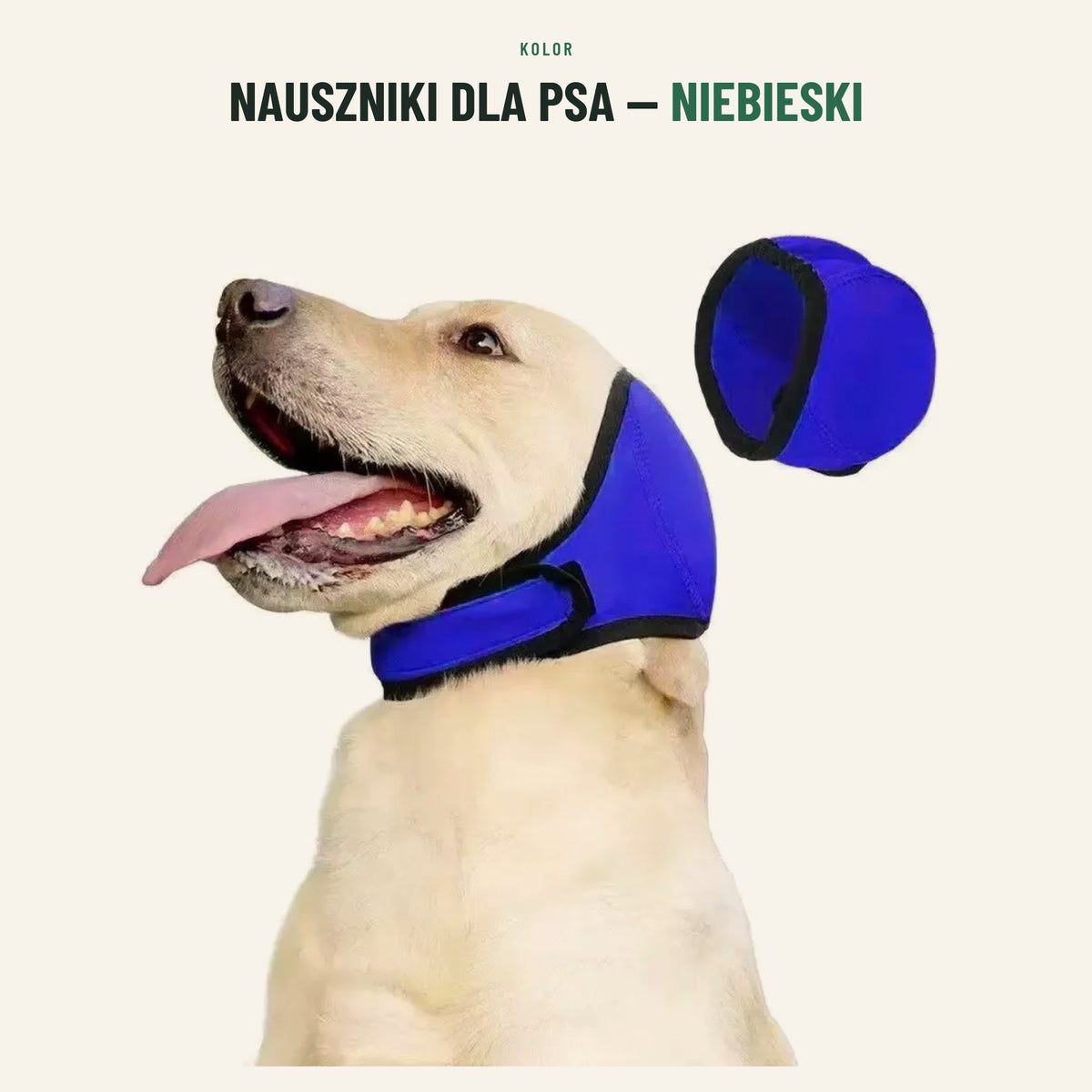 Nauszniki dla psa — kolor niebieski