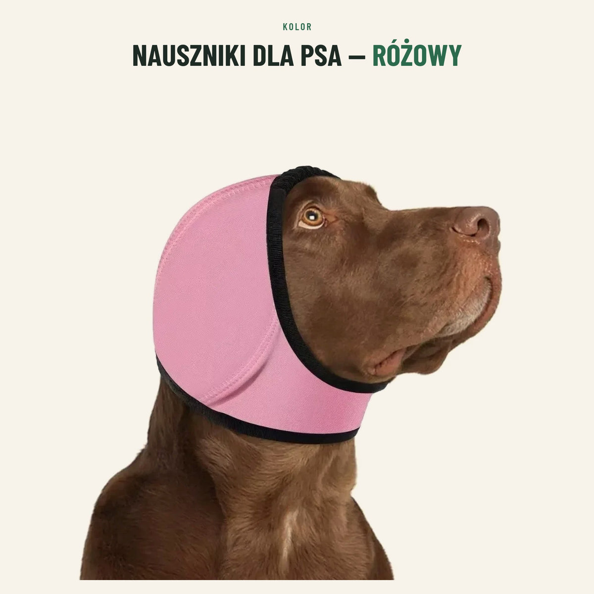 Nauszniki dla psa — kolor różowy