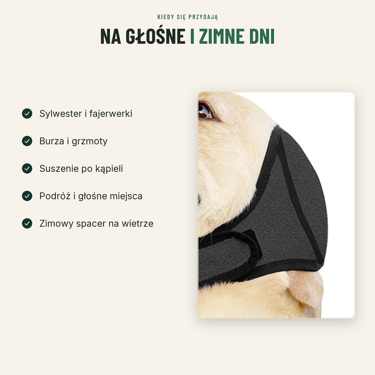 Kiedy przydają się nauszniki dla psa: sylwester, burza, suszenie, podróż, spacer zimą